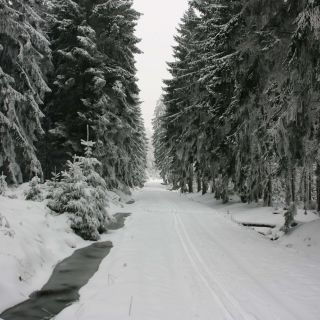 winter-im-soonwald60518654